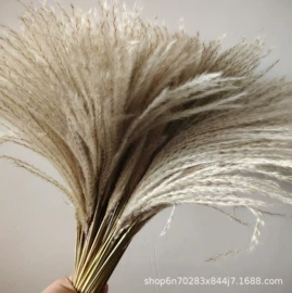 干花;永生花;仿真绿植