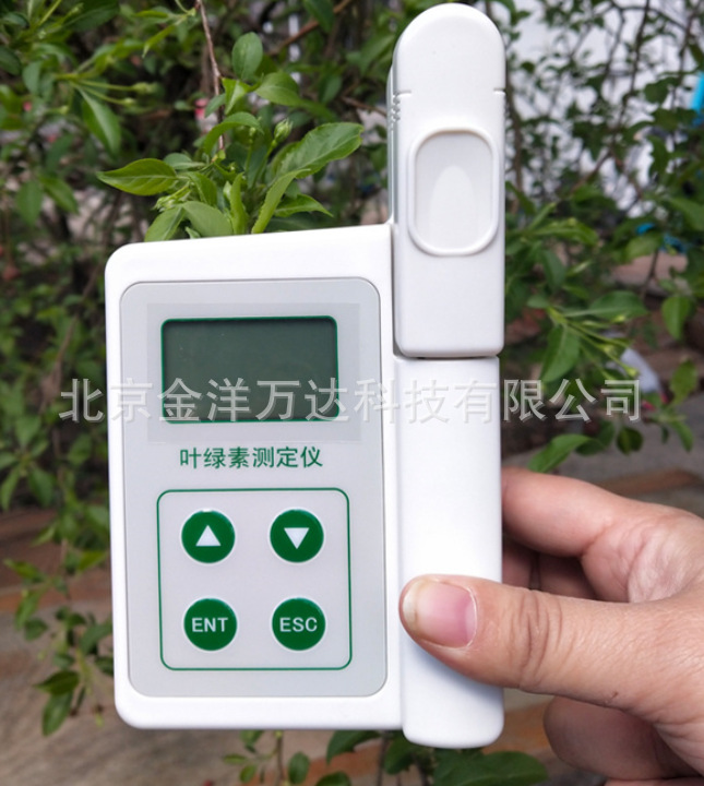 叶绿素测定仪 型号:YLS-A
