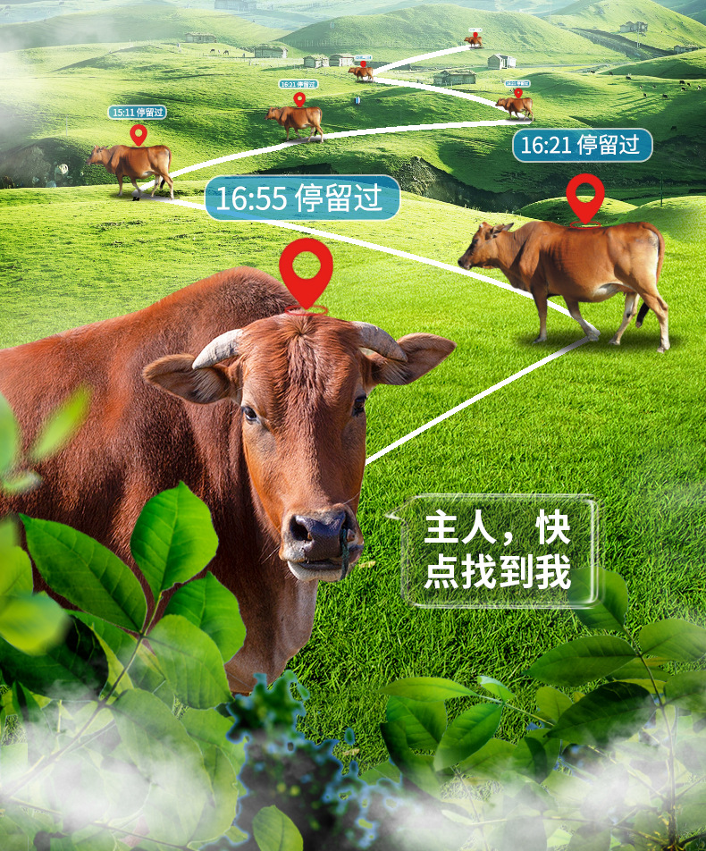 5g Cattle and Sheep Tracker Gps Solar-Powered Locator for Remote Tracking in Mountainous Areas, Popular for Cross-Border Use