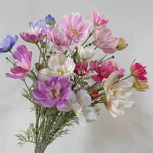 4�^�ʺ��˹�� ���滨��@��˹����Ұ�r�ո�ɣ����c�Ĕz���߻�