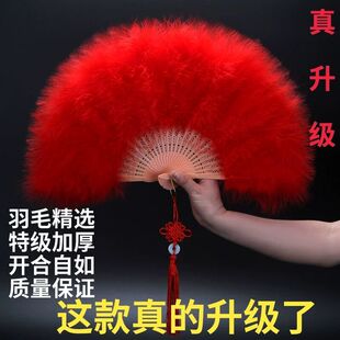 ��ë����ȫ�q�Ӻ��Zë������������̨�����赸�����ȹ��L