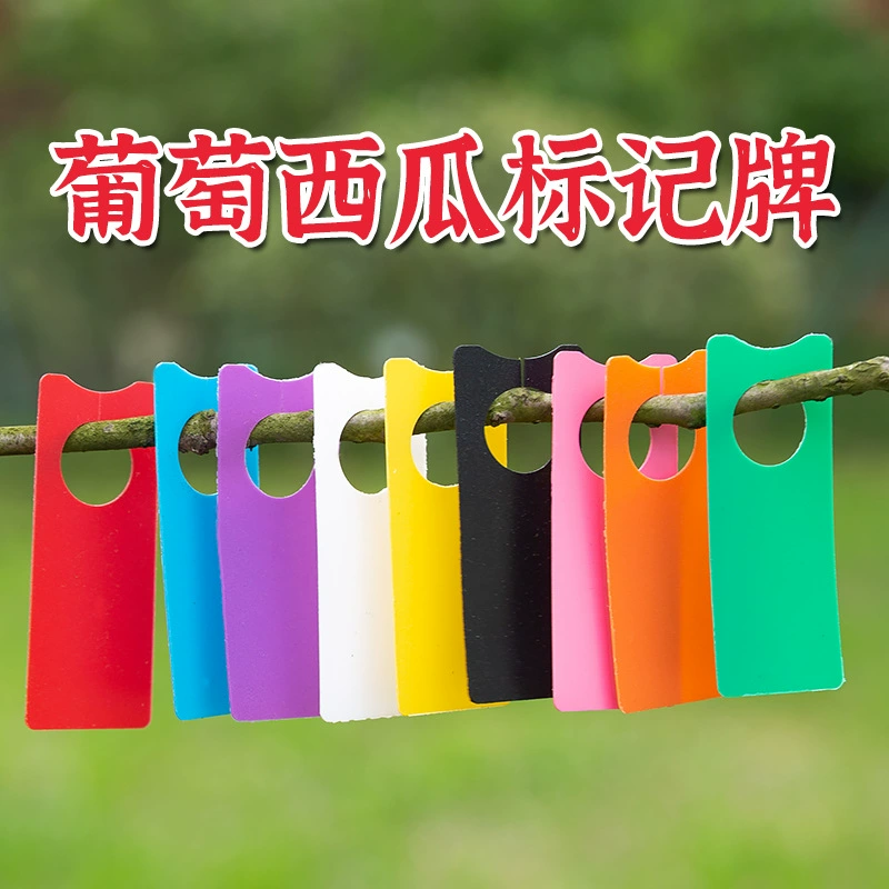 Виноградные арбузные опылители маркировка маркировки цветная карта пластиковая карта цветная этикетка указана без выцветания