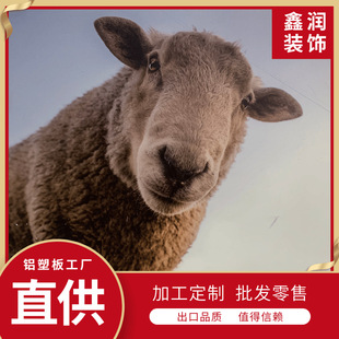 �X�ܰ�UV��ӡ��ˇ ����V���� ·����X֧�ܵȁ�D���a�X�ܰ幤�S