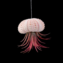 �՚��P�����ֲ���҃ȟo�����ܺ�đ�Ғ�ˮĸ���P����ȩ�̨�G�}��