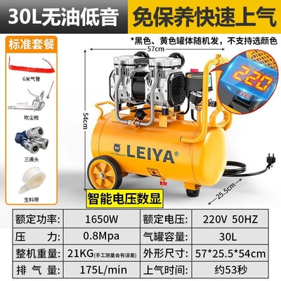 Air pump air compressor Hava kompressorları - 30l-brushless-air-compressor-1650w-standard-package