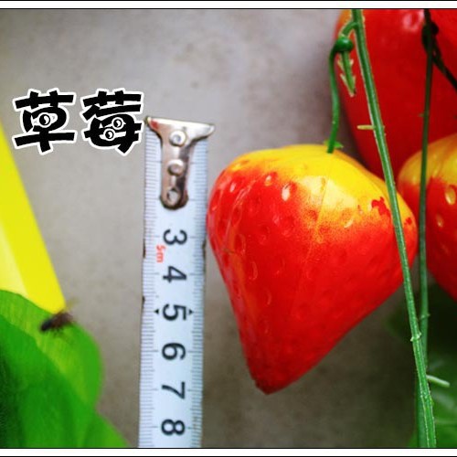 큰 잎 딸기 2 팩