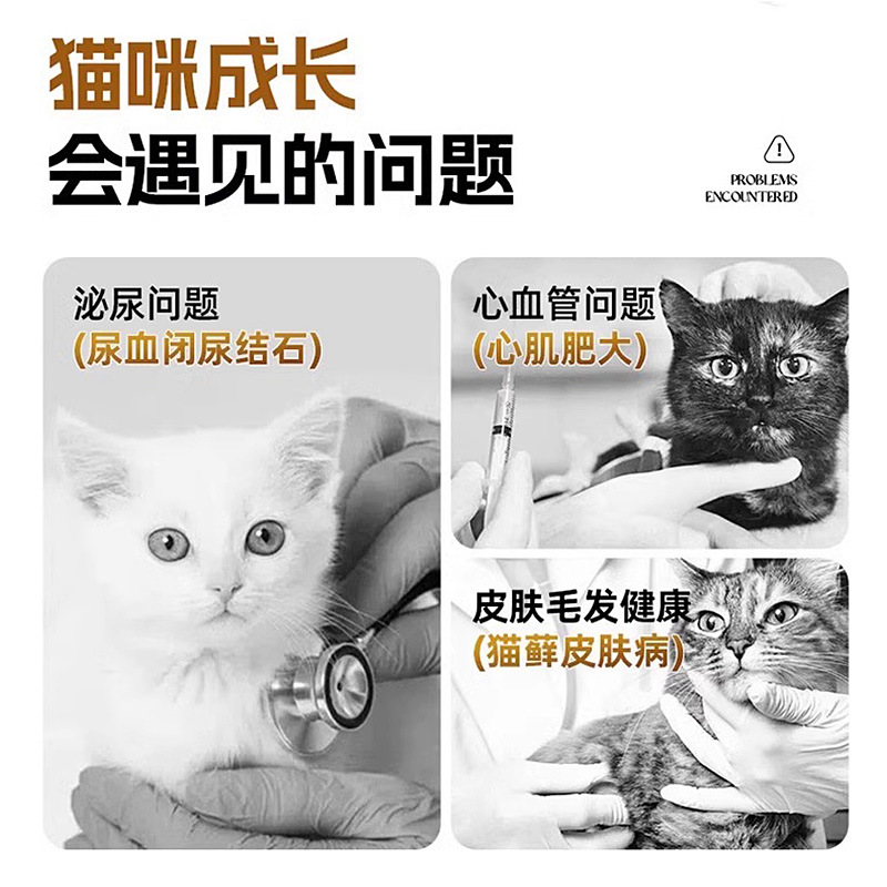 México Minino Mini Nuo Comida para gatos Superalimentos a precio completo Comida para gatos Comida para gatos adultos Comida para gatos jóvenes 1.5kg