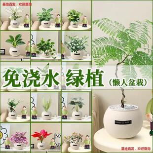 �Gֲ�҃�С��������G�}�׻��ļ��m�ϑ����B�Ļ��k����ֲ���׃��@