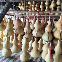 �������Jͨ؛ ���J�[�� �Ӯ���̺��J���e����ɫ���������