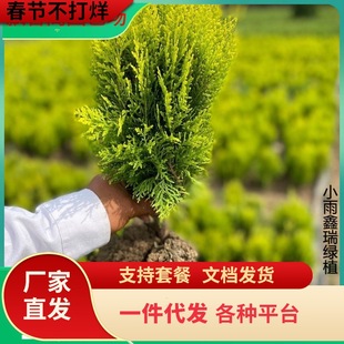 һ�����l����ر�؂Ȱ������辰ͥԺ�̨�҃���Nֲ�׻���B�ļ�