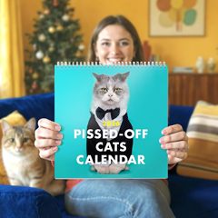 跨境新品2026 Angry Cat Calendar2026年生气的猫日历装饰品
