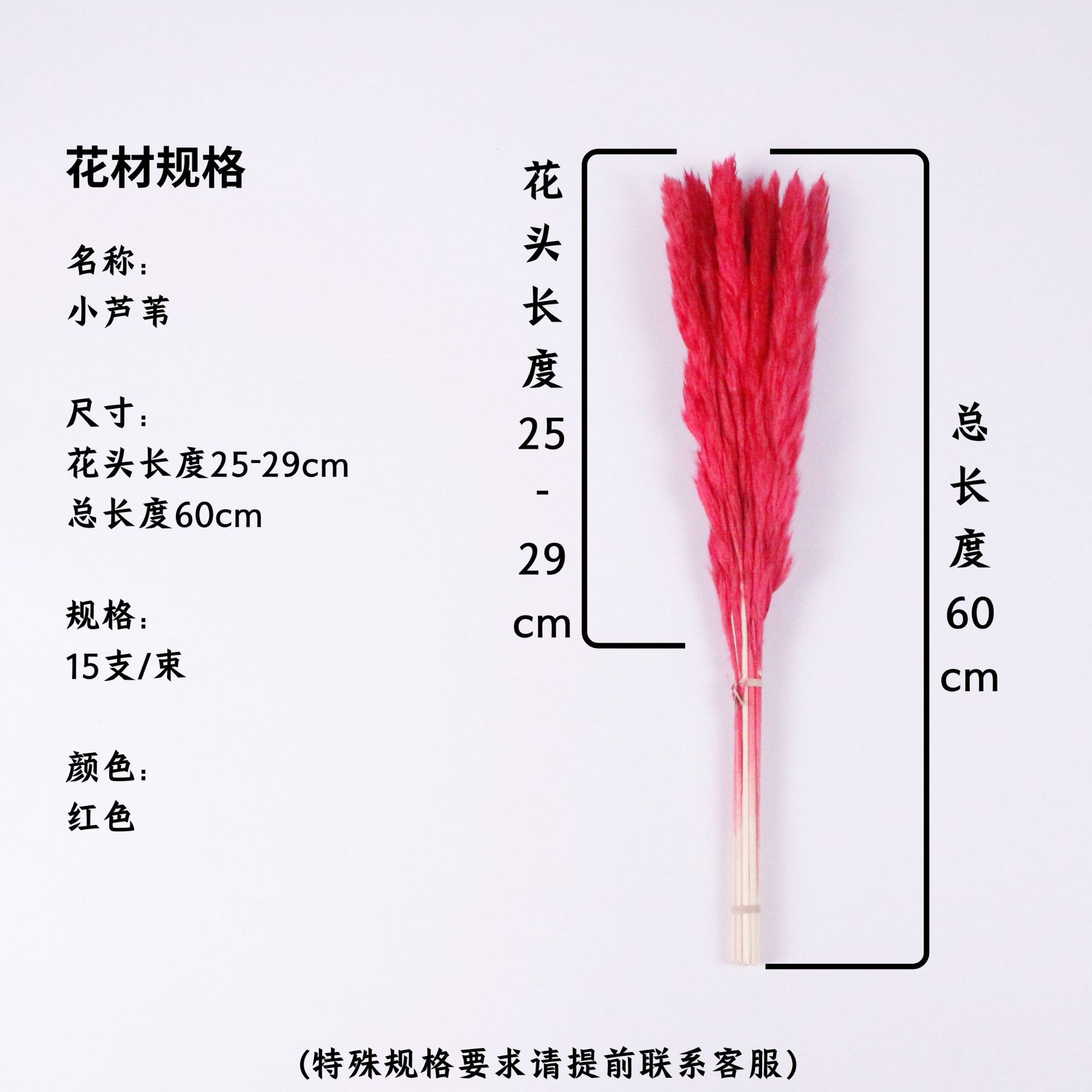 붉은 꽃 머리 25-29cm