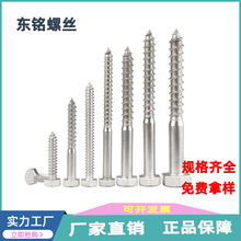 M6M8M10M12 304���P��������Թ��ݽz�DIN571�������^ľ�����˨