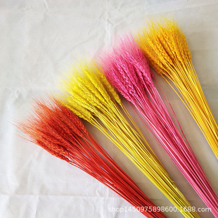 �_�I�����ɻ������������l��@�b��Ĕz�����µ��ͶY�ɻ��������l