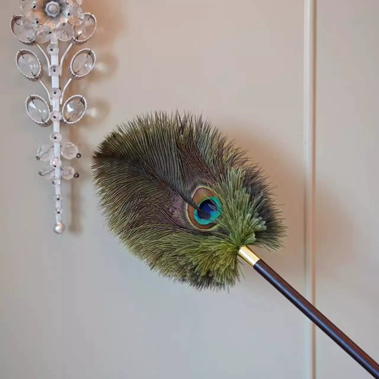 Павлин страус и перья для удаления пыли в домашних условиях