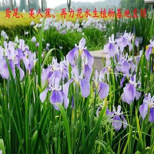 �{���Sβ��ͥԺ�ر�ֲ���[�m������S���Ѷ������������x�޸�