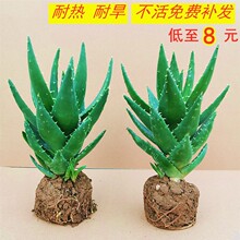 �J�C���Բ�ҹ�Ƕ���ֲ���ͺ����B�҃ȿ͏d�����՚��̨����