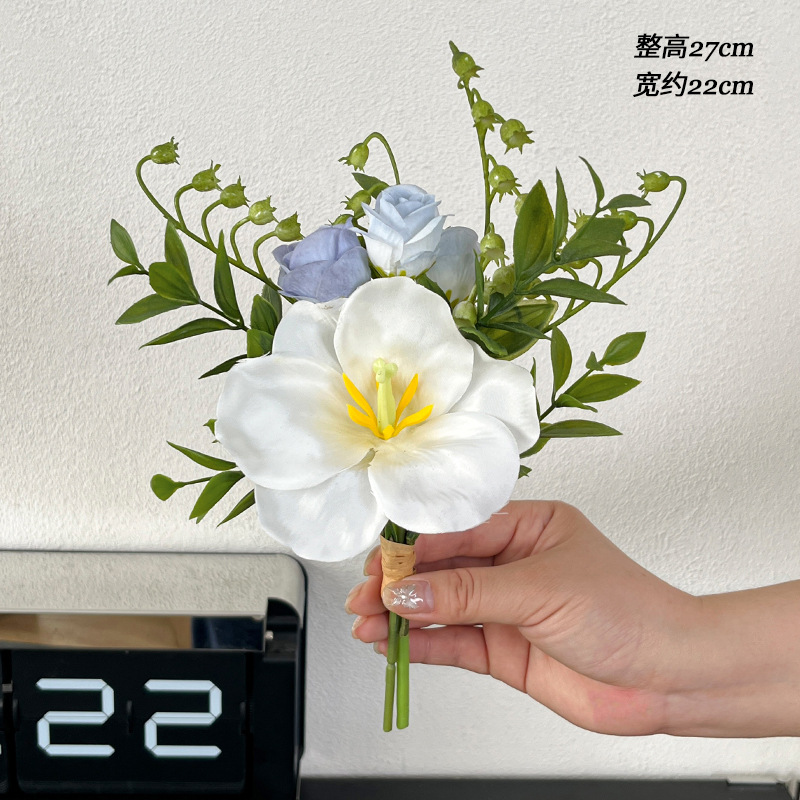 Hoa tulip trắng hoa màu xanh Ba Tư Lei màu xanh lá cây hoa lan thơm hoa