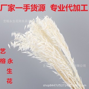 �����ɻ�����������������l���҃ȿ͏d�[���Ʒdiy�ֹ��������l