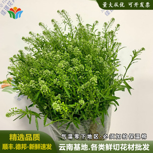 �G⏲��r�����ֱ���G��ݻ�c�����b����廨���r�G�ֲ��r�л�