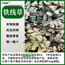 �F���� ����r�Ұ͸��ݹ����������r��؛��ș��