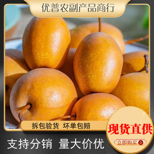 ���r�����ɳ���Ӯ���ˮ��Ұ���t��С�SƤ��ɰ���ЋD������ˮ�Fժ