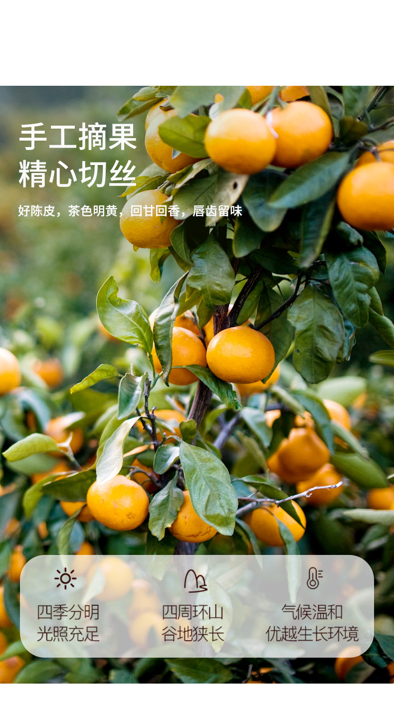 Dried Tangerine Peel Shreds Chen Pi Si Herbal Tea 140g Canister Sugar Free Dried Citrus Peel for Daily Infusion quality and texture