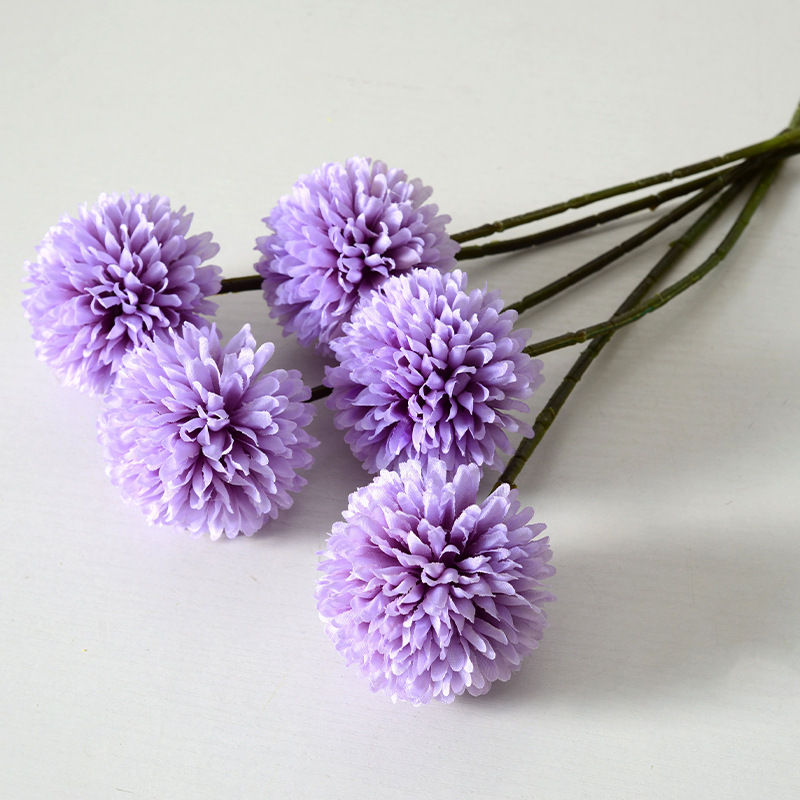 Colores otoñales de una sola cabeza crisantemo púrpura