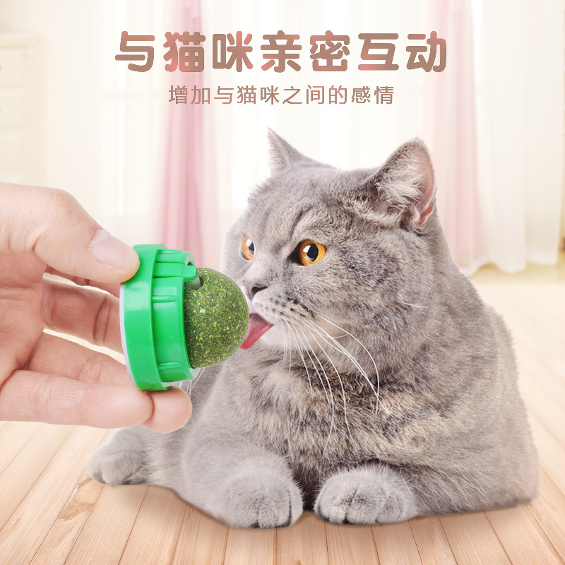 Fabricantes personalizados gatos menta bolas para promover la digestión gatos bocadillos anti-perderrida pegada pared picada bolas de juguete palillos