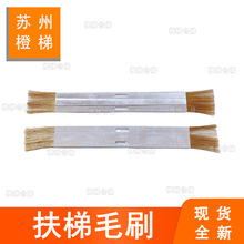 �m�����Ѹ�W��˹�����o�ëˢͨ�ÿ�����o�ˢ�ӷ��o�ëˢˢ�^