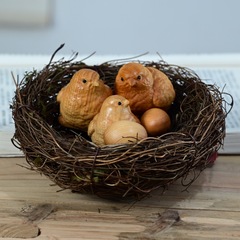 崖柏木小雞雕刻手把件帶雞窩仿真把件一窩木雕工藝品創意鳥巢擺件