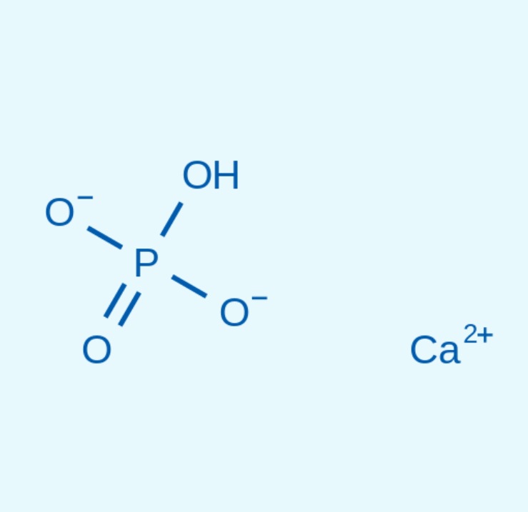 磷酸氢钙 CAS号 : 7757-93-9 免费开票
