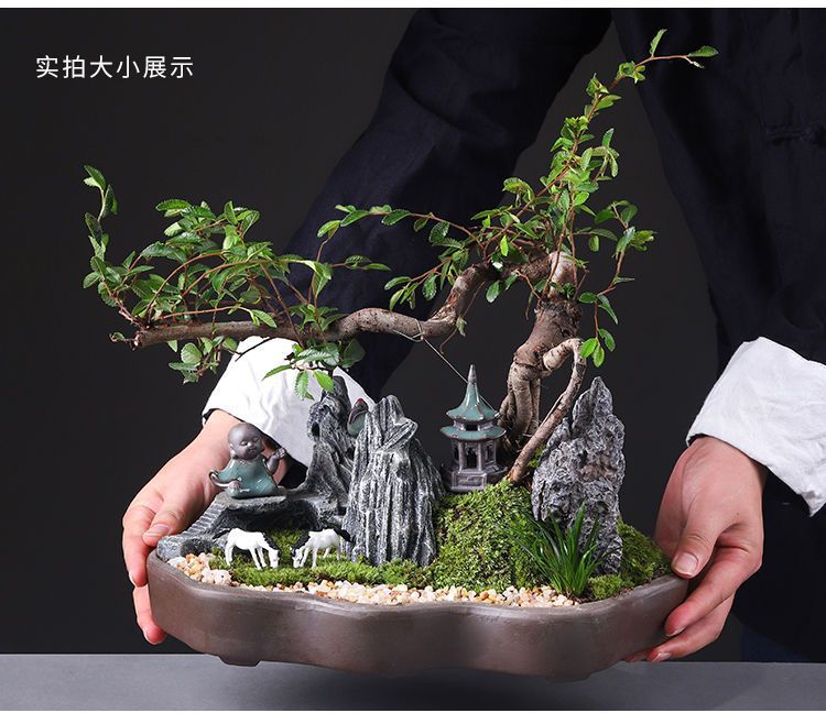 详情图