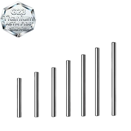 其他穿刺饰品;唇饰;耳廓、耳扩