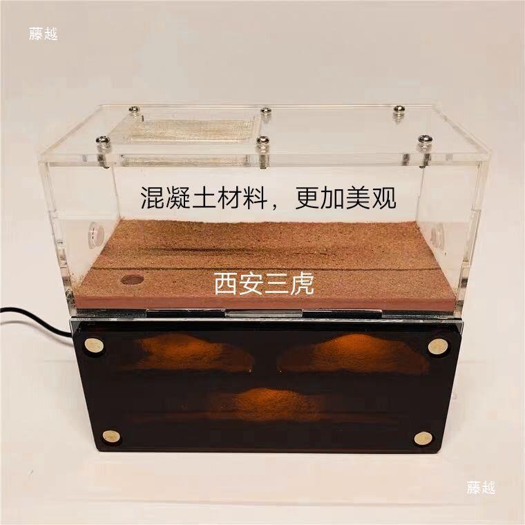 天空之城蚂蚁巢加热款蚂混凝土巢蚂蚁工坊蚂蚁城堡新后巢蚂蚁巢