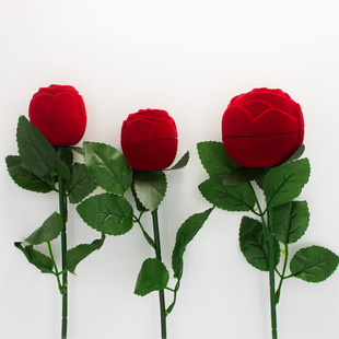 �tɫСõ�廨��ָ�иߙn���նY������˹���а��b����Ϧ���