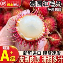 红毛丹新鲜水果5斤当季整箱毛荔枝毛丹果红牡丹泰国热带孕妇水果