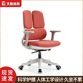人体工学办公椅电脑椅舒适久坐舒适宿舍靠背椅子学习椅家用办公椅
