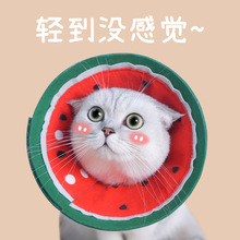 猫咪伊丽莎白圈羞耻脖圈伊莉莎白项圈沙白防舔宠物绝育头套