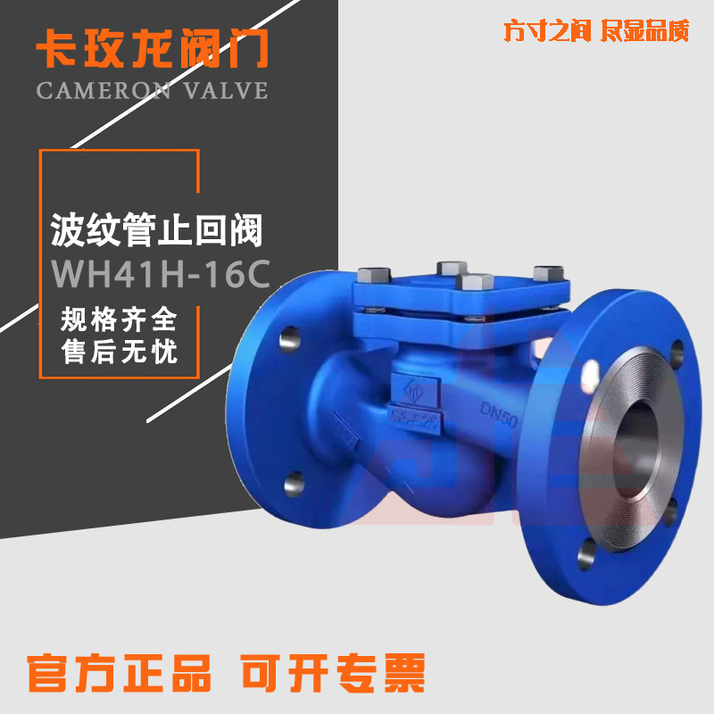WH41H德标波纹管止回阀不锈钢铸钢德标蒸汽法兰单向逆止阀DN50100