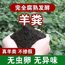 有机肥;栽培基质;生物肥料