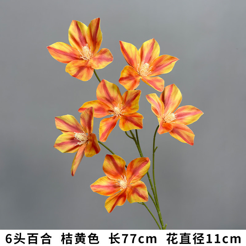 6头百合