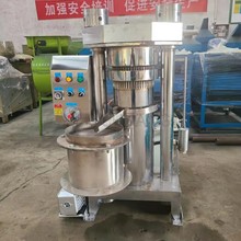 液压香油机 芝麻核桃立式压榨机 油坊用榨油机厂家销售
