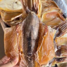 ���������ī�~��؛���lĿ�~��300-450��/�l ���ג�� ���r�aƷ