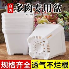 ���⻨��͸��С�׷��Ӻ񰫿�ĥɰ�����~����������¶�������ϻ���