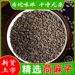 ��������ș����������؛���������������Ӱ�����������ĥ�P�ݷN��