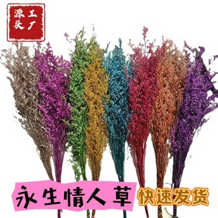 ������������r�����˲��������L�ɸɻ�120g�������l�������˲�