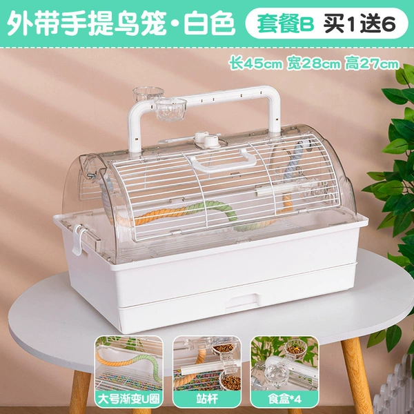 Bird Takeaway Carrying Box Package B (Blank)
