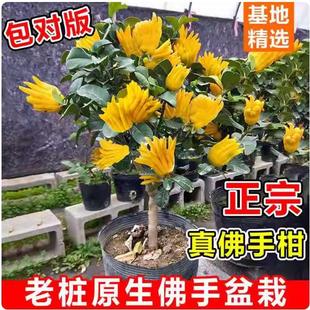 ���֘����Ԏ������A���ָ��辰��ʳ�ù������̨ͥԺ�ļ����ܾGֲ