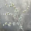 Xiaofeiyan grass mint green